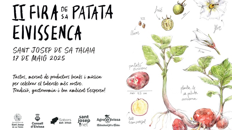 Fira de sa Patata Eivissenca in Sant Josep